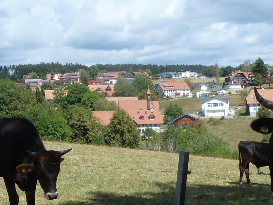 Schöne Dachzimmerwohnung - B&B
