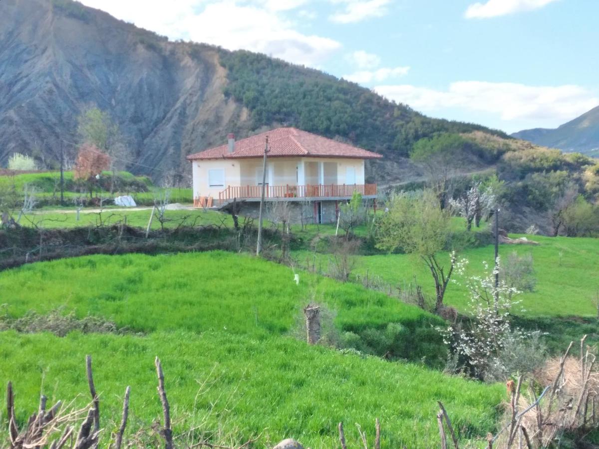 Guest house YMERI - B&B