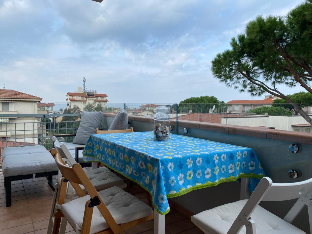Catamaran - B&B Lido di Camaiore