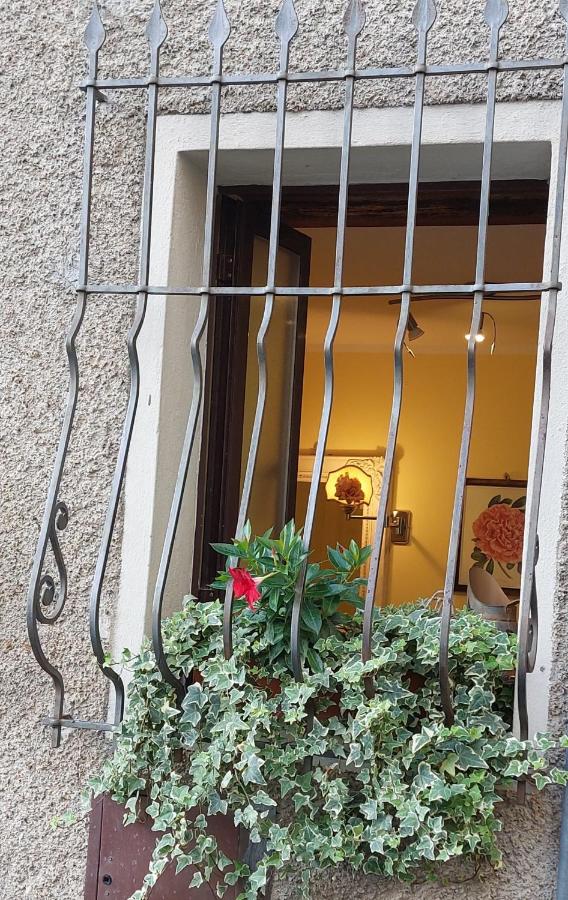 Linda's Holiday Home - Bed and Breakfast Roccastrada