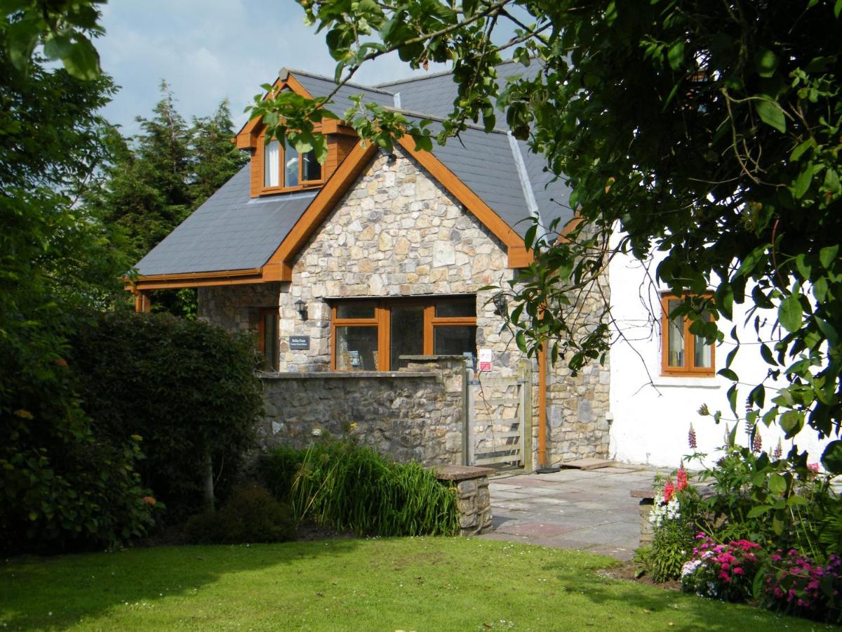 B&B Bridgend County Borough - Ballas Farm Country Guest House - Bed and Breakfast Bridgend County Borough