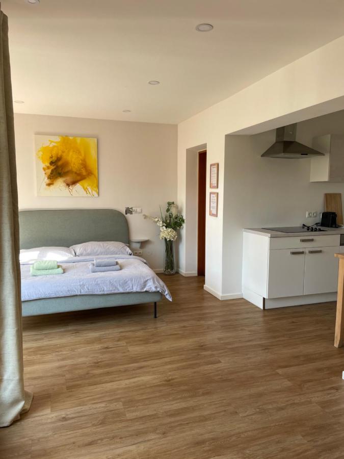 Apartment mit 1 Schlafzimmer