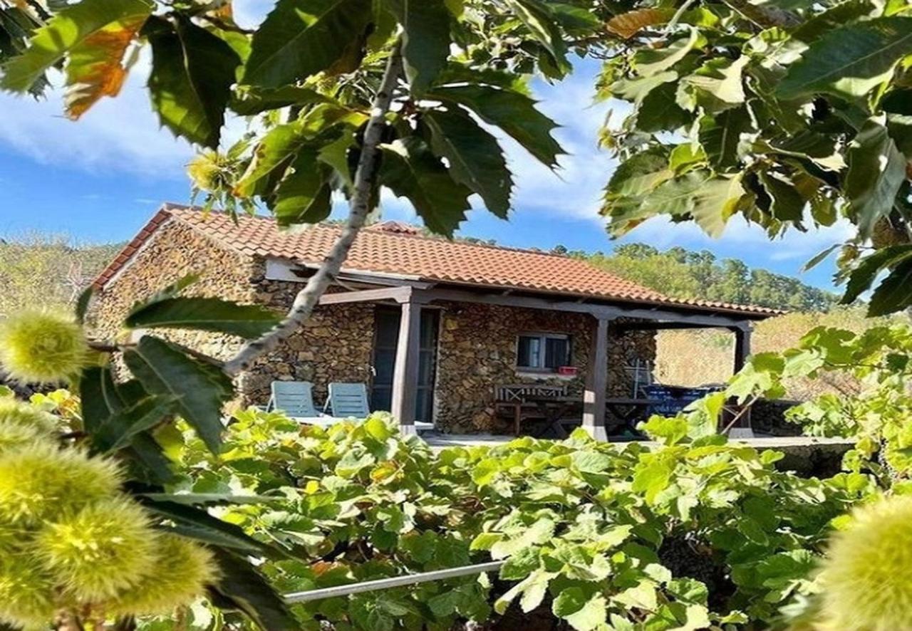 Confortable casa rural con vistas hermosas en El Hierro - Ferienwohnung