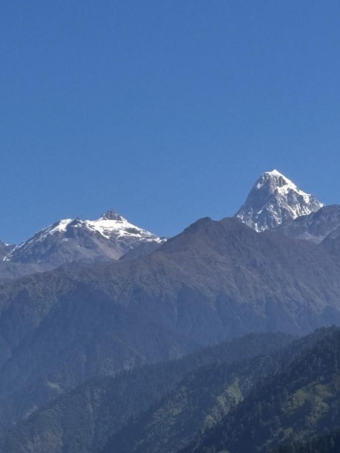 Gaonvasi Homestay - B&B