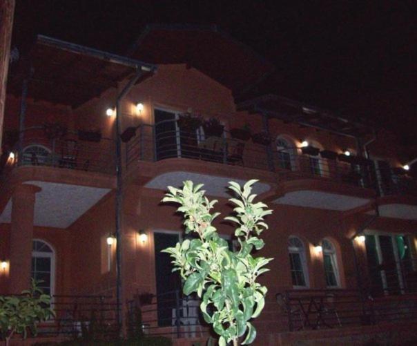 Vila Anastas - B&B Ocrida