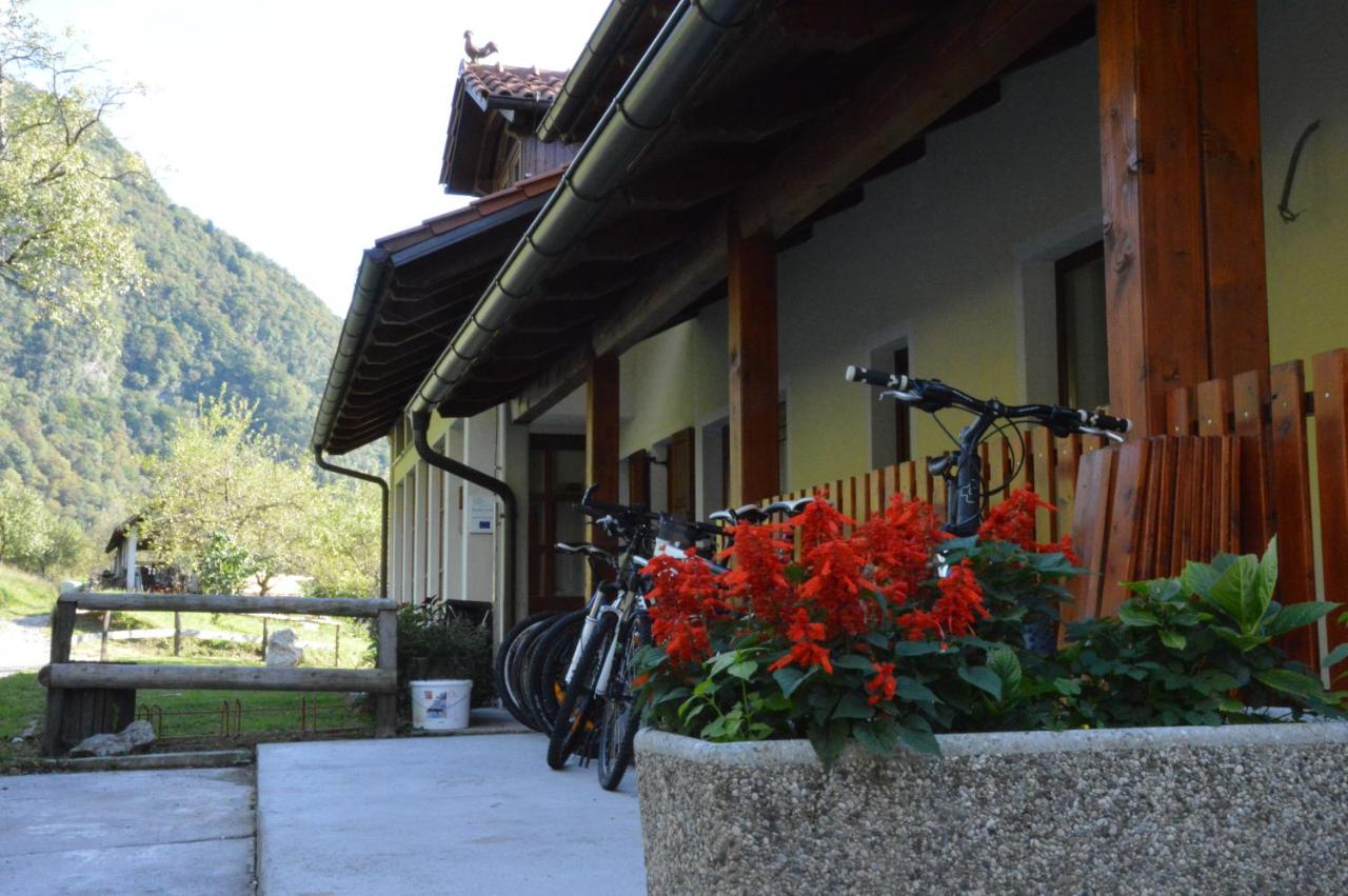 Appartamento con 1 Camera da Letto e Terrazza