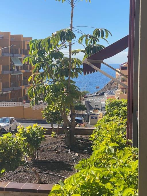 Olivia Sunset breeze - B&B Puerto de Santiago