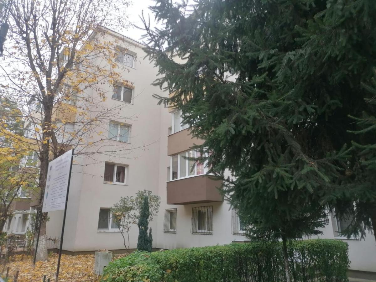 Dâmb 2 camere - Ferienwohnung
