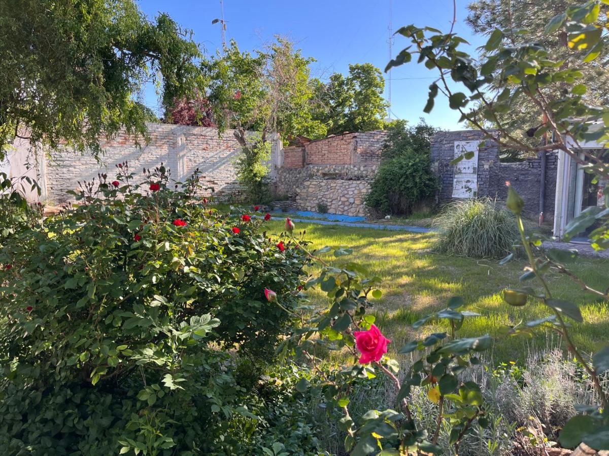 Serendipia - B&B Malargüe