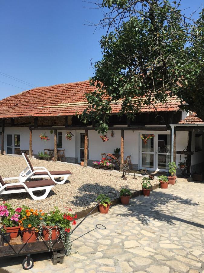 Sunflower Guest House Bulgaria - B&B Gradina