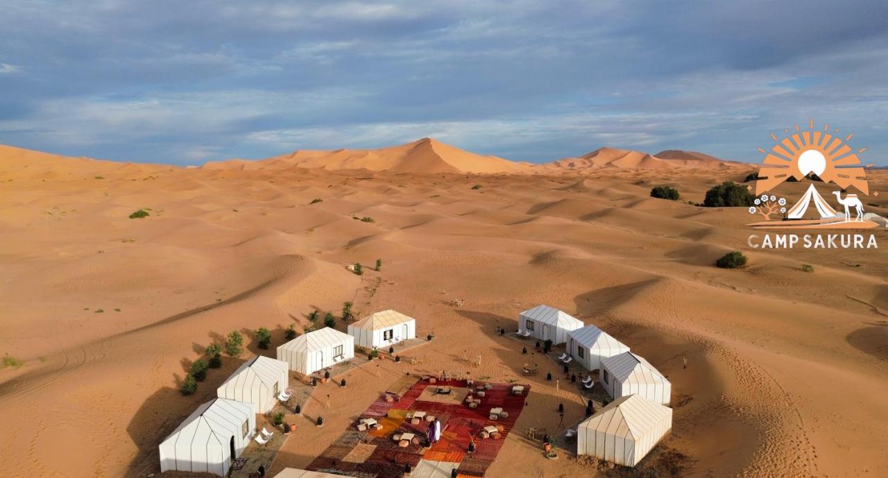 Camp Sakura Desert Dream - Bed and Breakfast
