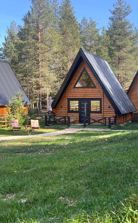 Pine forest-Black - Ferienwohnung