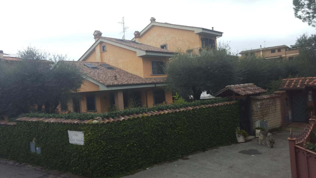 Aurelia Garden Gold B&B - B&B