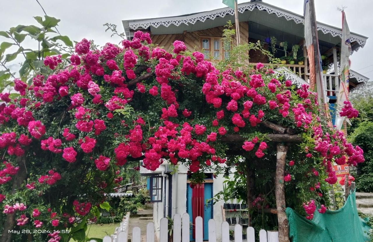 Yuksam Homestay - B&B Pemayangtse