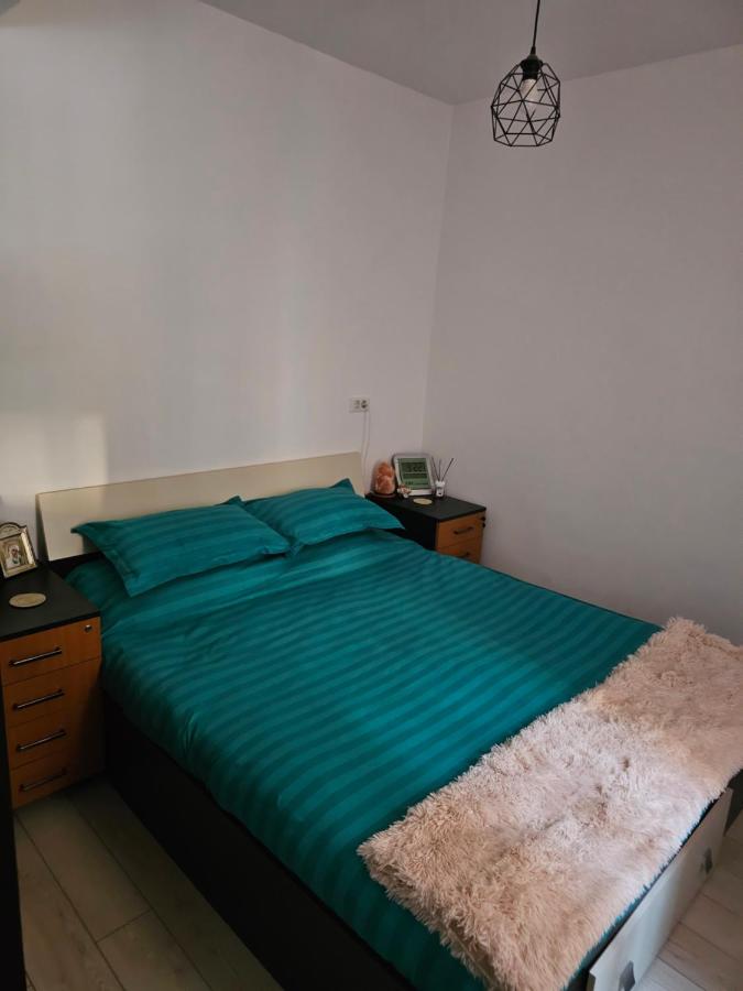 Luxury 1 Bedroom Apartment - B&B Roşu