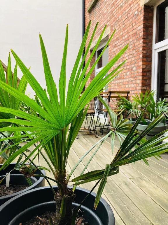Apartment mit 1 Schlafzimmer und Terrasse