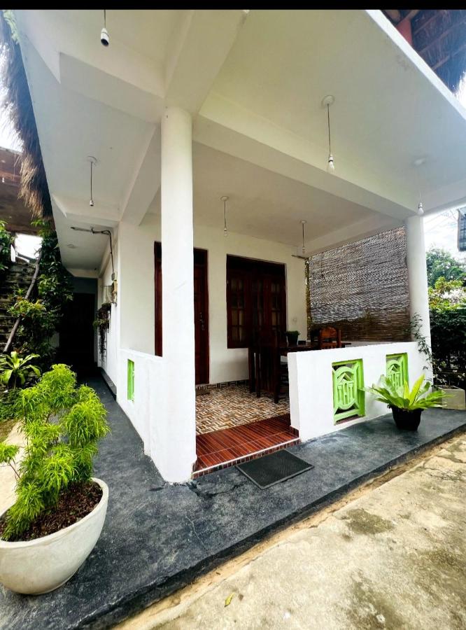 The kiwi - B&B