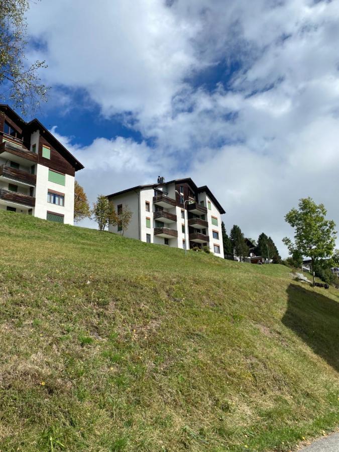 Hoch über dem Rheintal - Bed and Breakfast