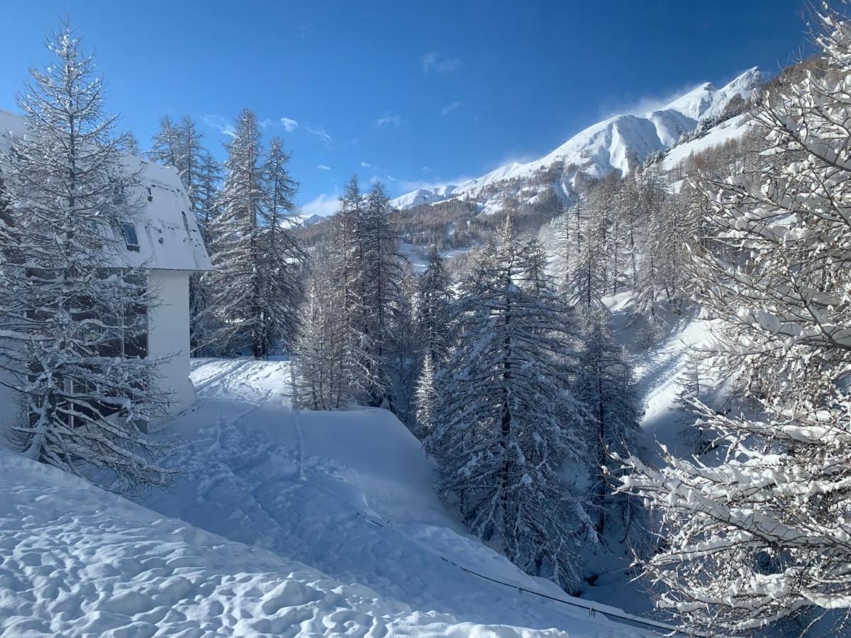 Résidence les étoiles - Bed and Breakfast La Foux