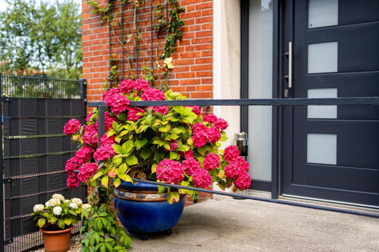 Visiet - Ferienwohnungen in Emden - Ferienwohnung