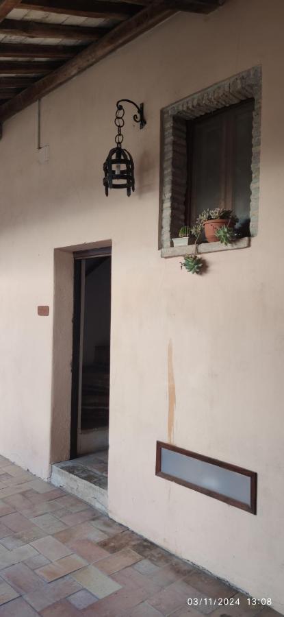 Camera Tripla Basic