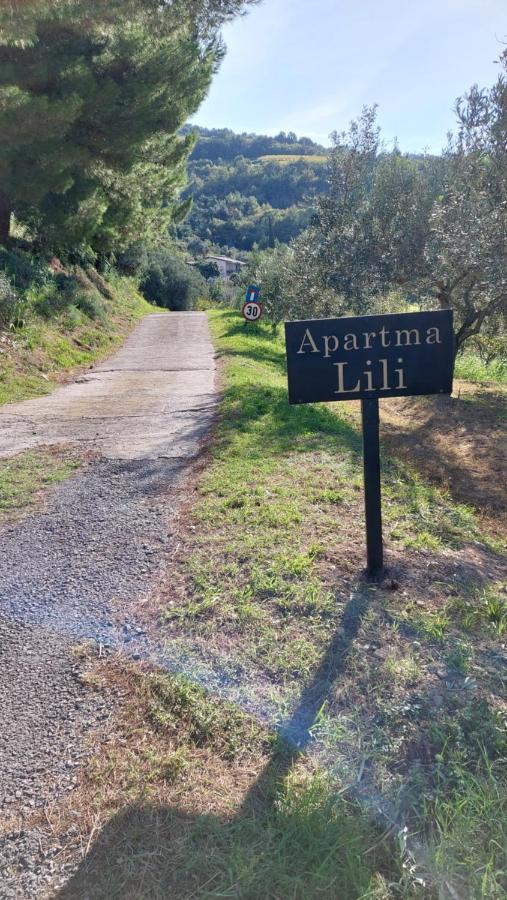 Apartma Lili - B&B