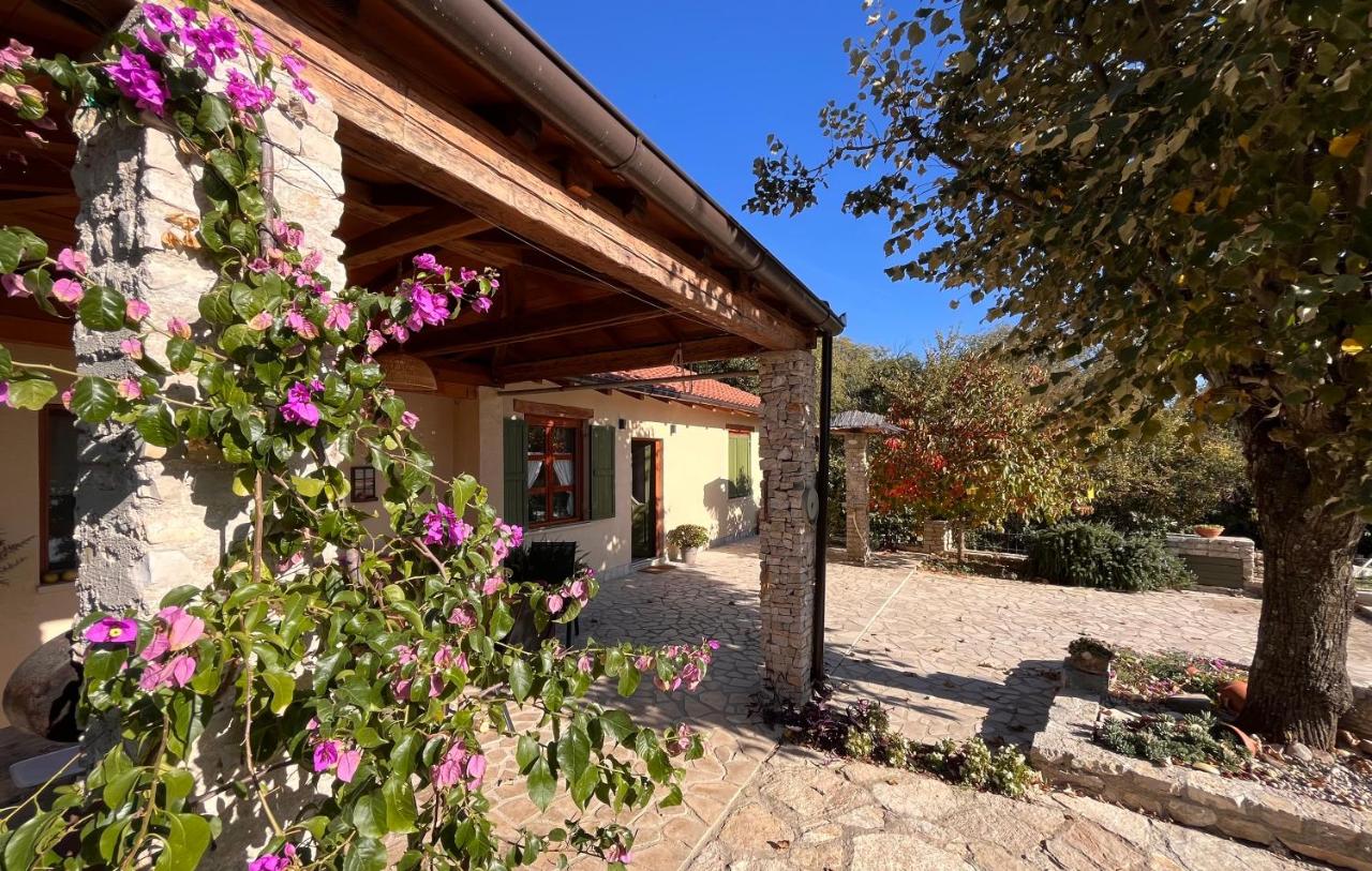 “House Botić” - B&B