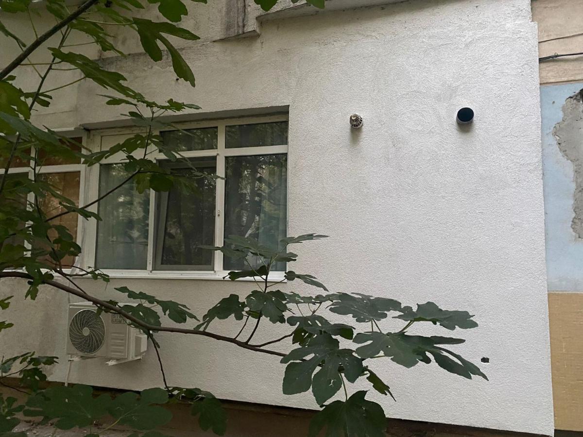 Secret Studio Braila - B&B