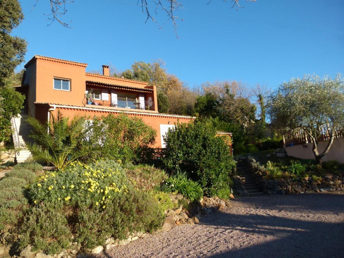 Comfort Studio (2 Erwachsene)