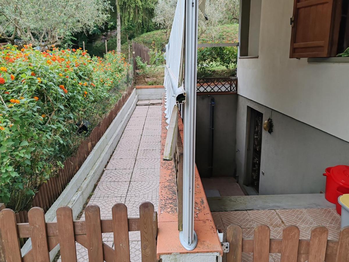 Oasi degli ulivi - B&B Luni