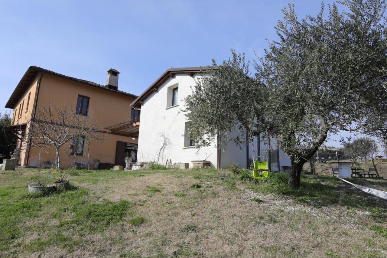 Agriturismo Madre Terra - B&B