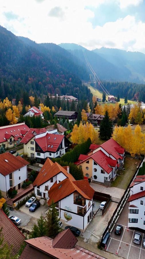 Monti Chalet - Ferienwohnung