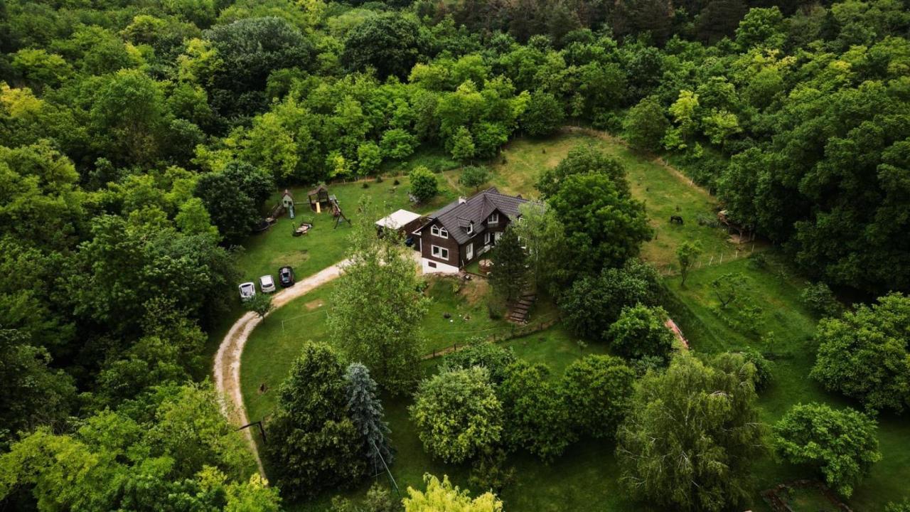 Cosy Forest House - Ferienwohnung