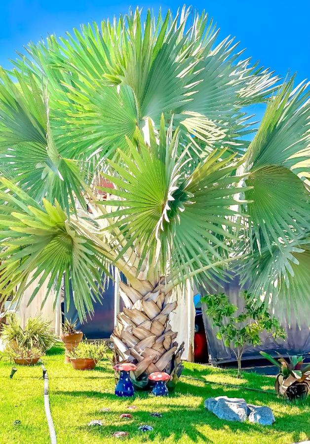 Apê Completo com Piscina I Wi-Fi e A/C - B&B Imperatriz