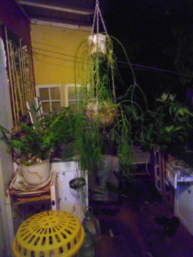 Chambre Double avec Salle de Bains Privative