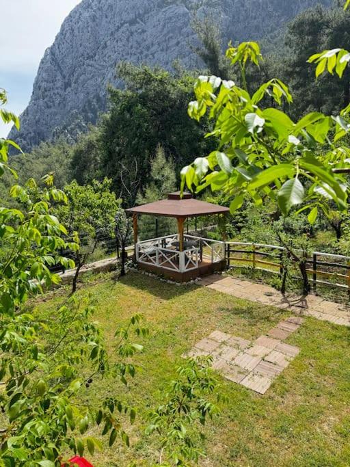 Gökçe mountain villa 2 - B&B