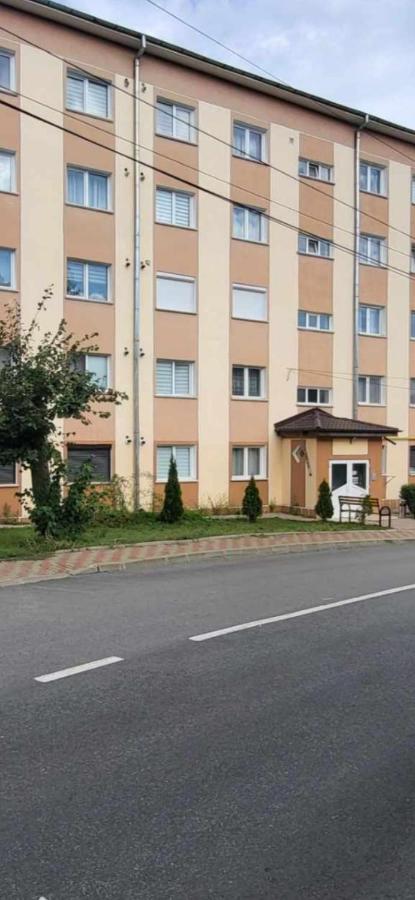Apartament cu o cameră - B&B