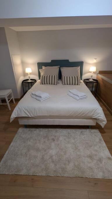 L'Atelier d'Henri centre-ville Annonay - B&B Annonay