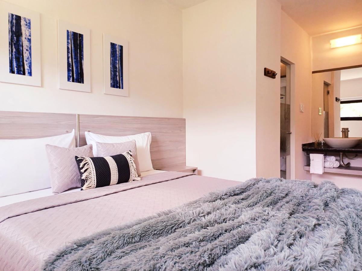Maison 1 Chambre