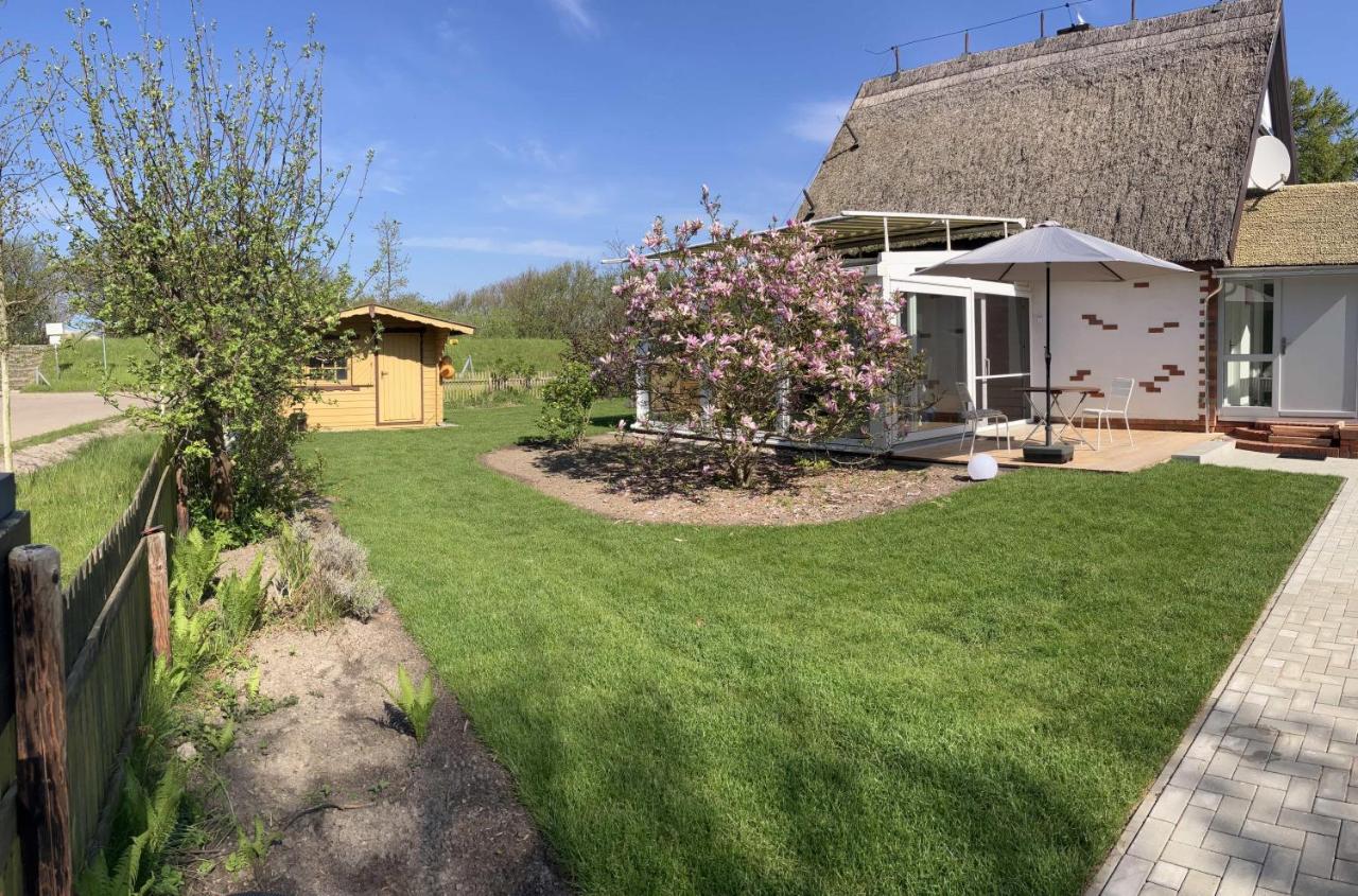Ferienhaus "Bunter Fisch" - direkt am Deich, Strandübergang 19 - B&B Wustrow
