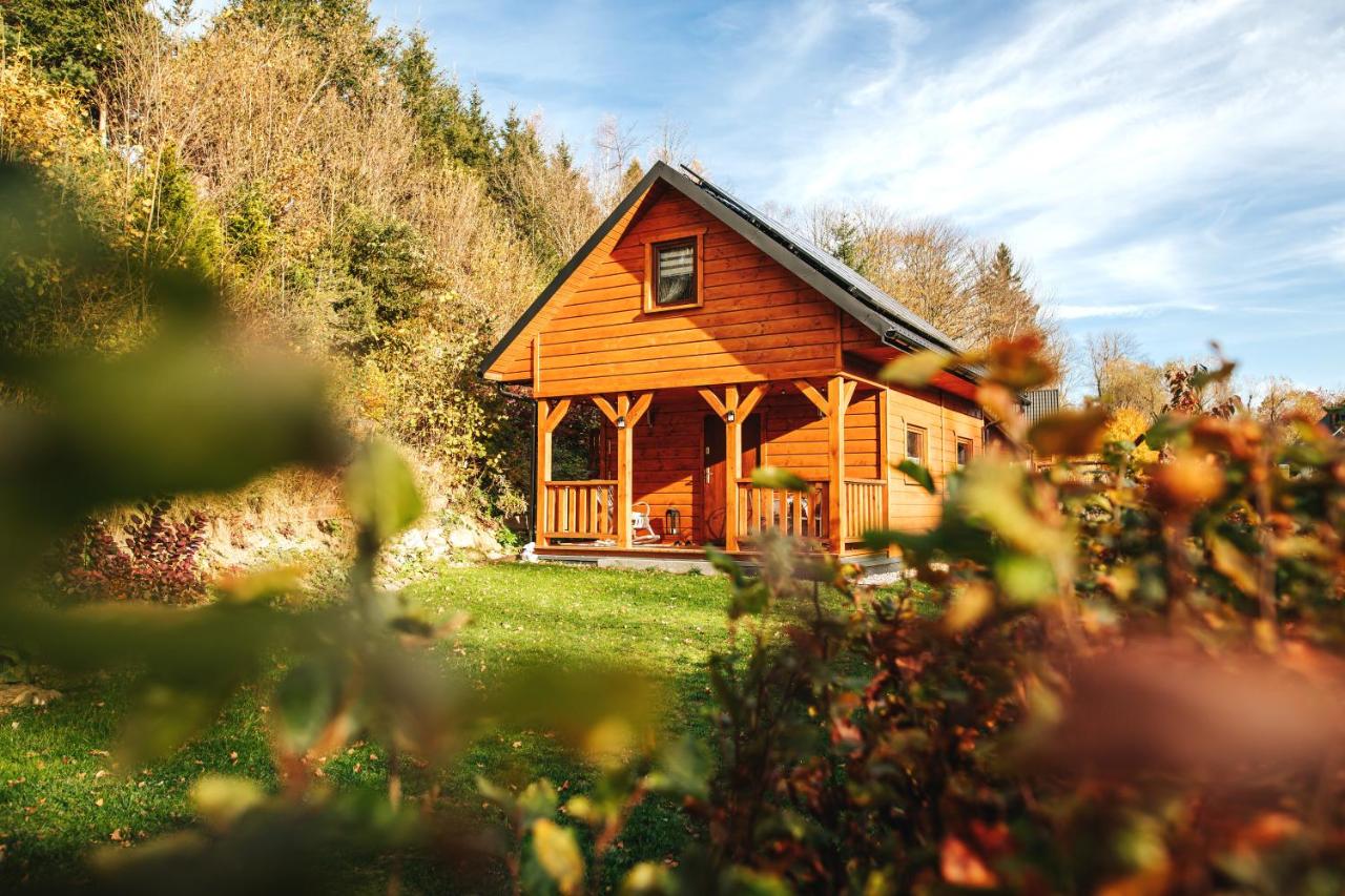 Chalet mit 2 Schlafzimmern