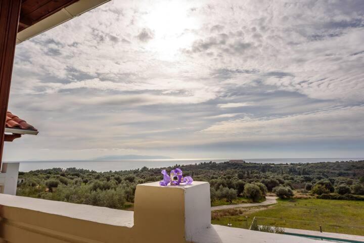 Apartamento de 2 dormitorios