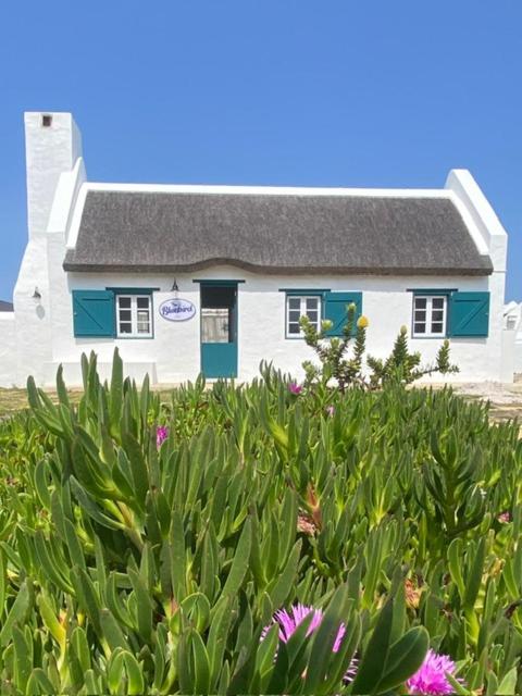 Bluebird Cottage at Langezandt - B&B