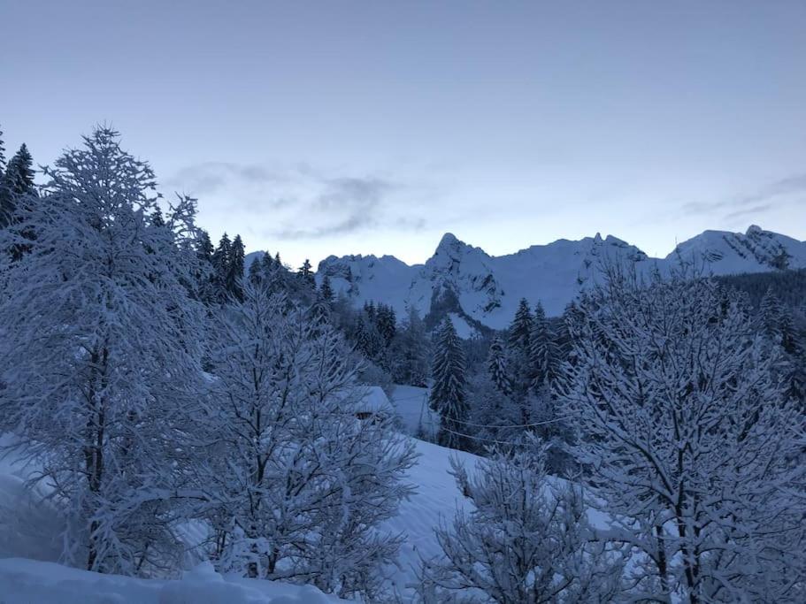 Le Nid du Farzy, au cœur des Aravis - Bed and Breakfast Le Grand-Bornand
