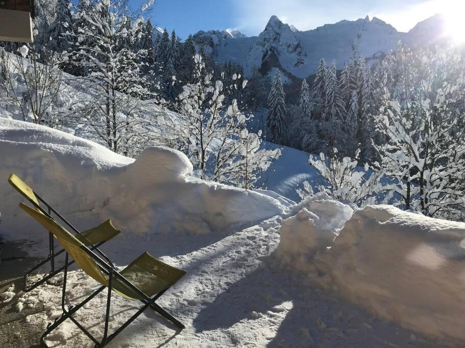 Le Nid du Farzy, au cœur des Aravis - Ferienwohnung