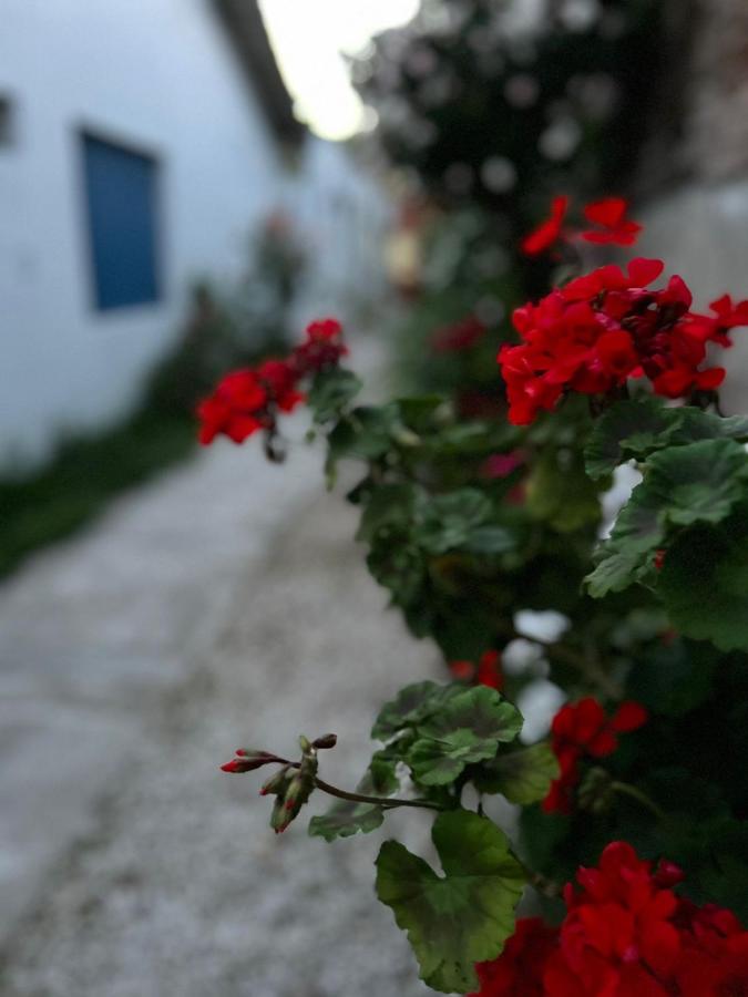 Dto tres personas mas elegido wifi libre-acepta mascotas-parrilla-piscina enero-reposeras-terraza solarium - B&B Mar del Plata