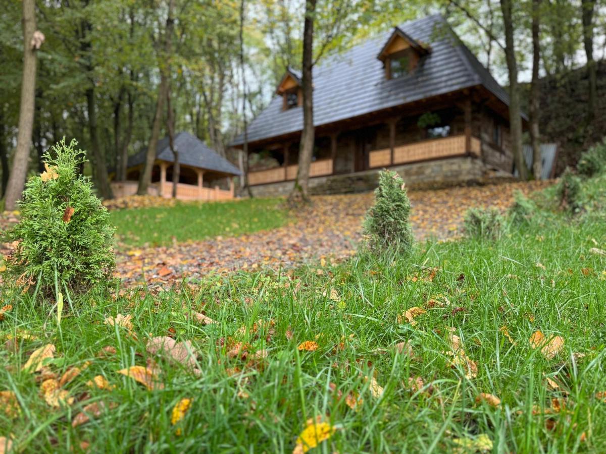 Căsuța de la vâltoare - Bed and Breakfast