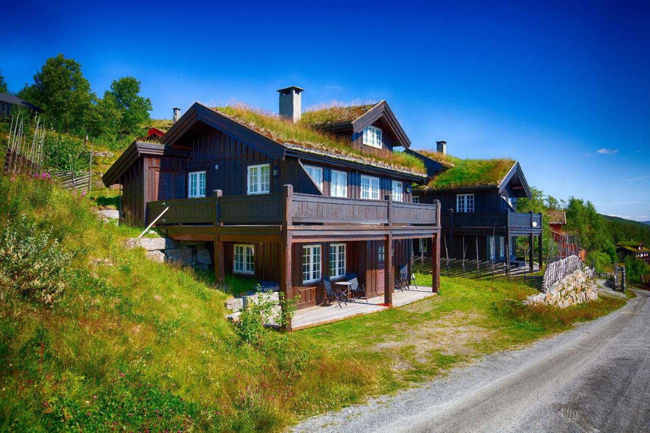 Apartment by Cross-Country and Alpine Slopes - Chambres d’hôtes Beitostølen
