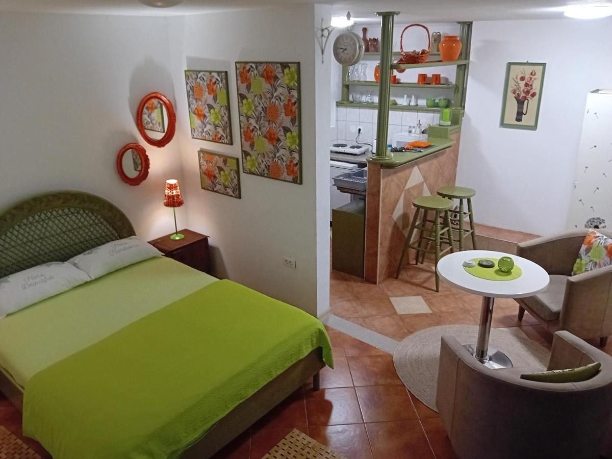 Studio Apartment