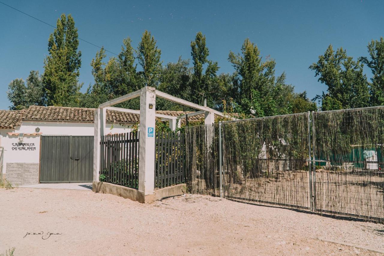 La huerta de Carmen - B&B Mogón